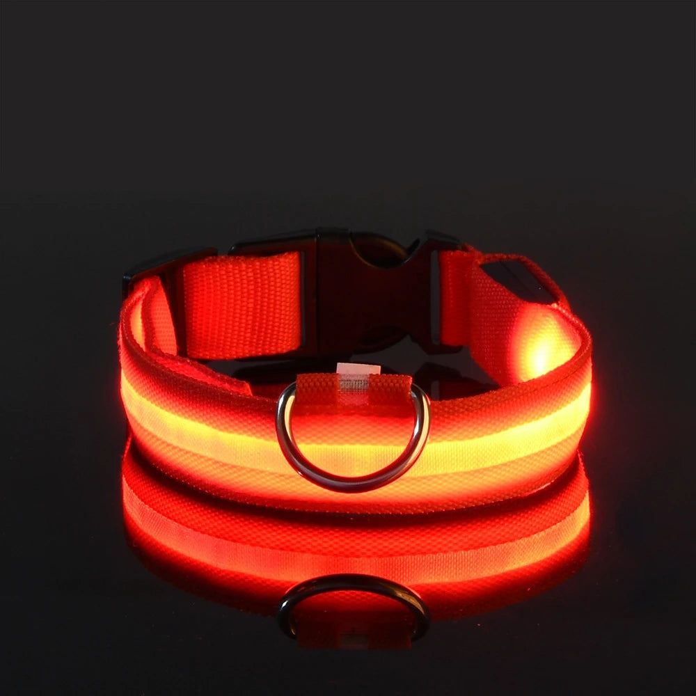 LED Dog Safety Collar – Rechargeable Glowing Pet Collar