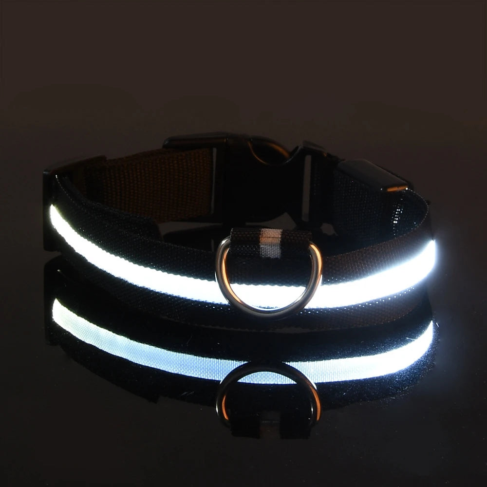 LED Dog Safety Collar – Rechargeable Glowing Pet Collar