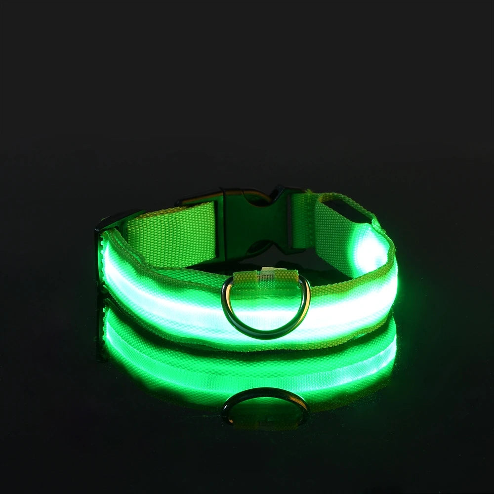 LED Dog Safety Collar – Rechargeable Glowing Pet Collar
