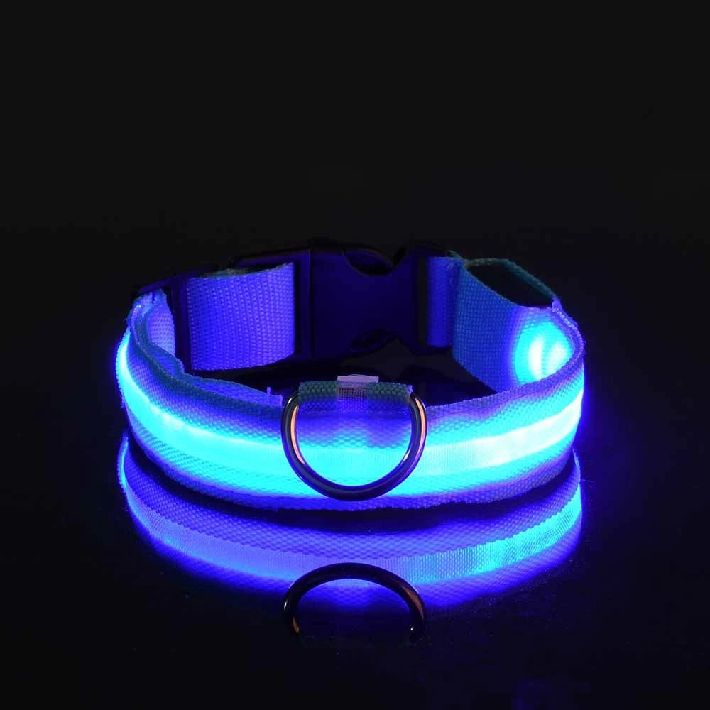 LED Dog Safety Collar – Rechargeable Glowing Pet Collar