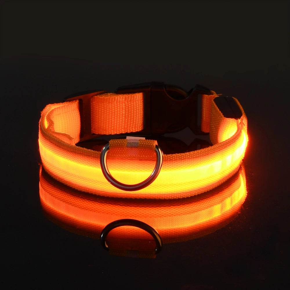 LED Dog Safety Collar – Rechargeable Glowing Pet Collar