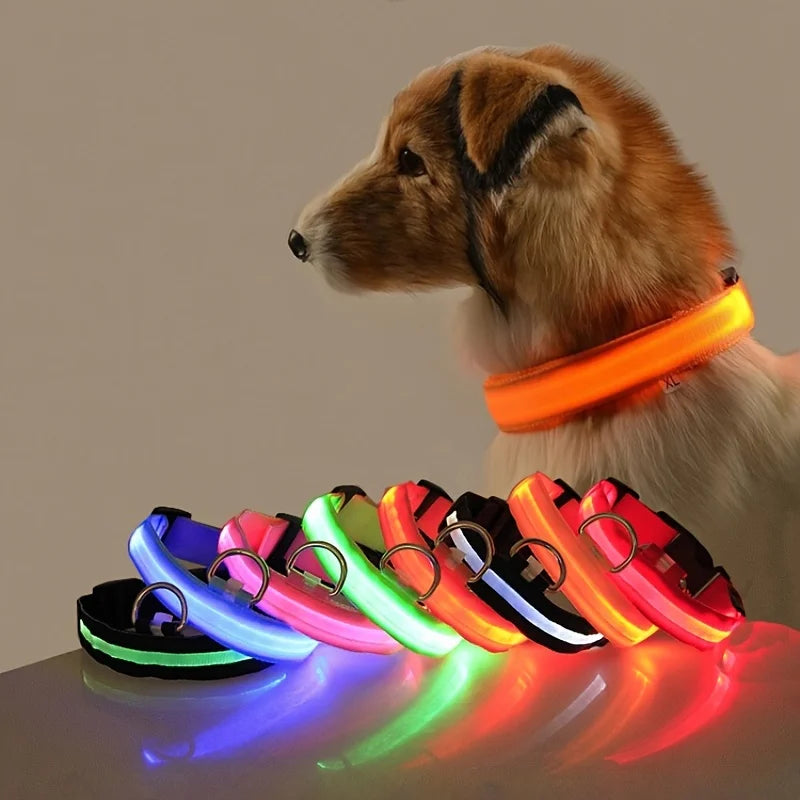 LED Dog Safety Collar – Rechargeable Glowing Pet Collar