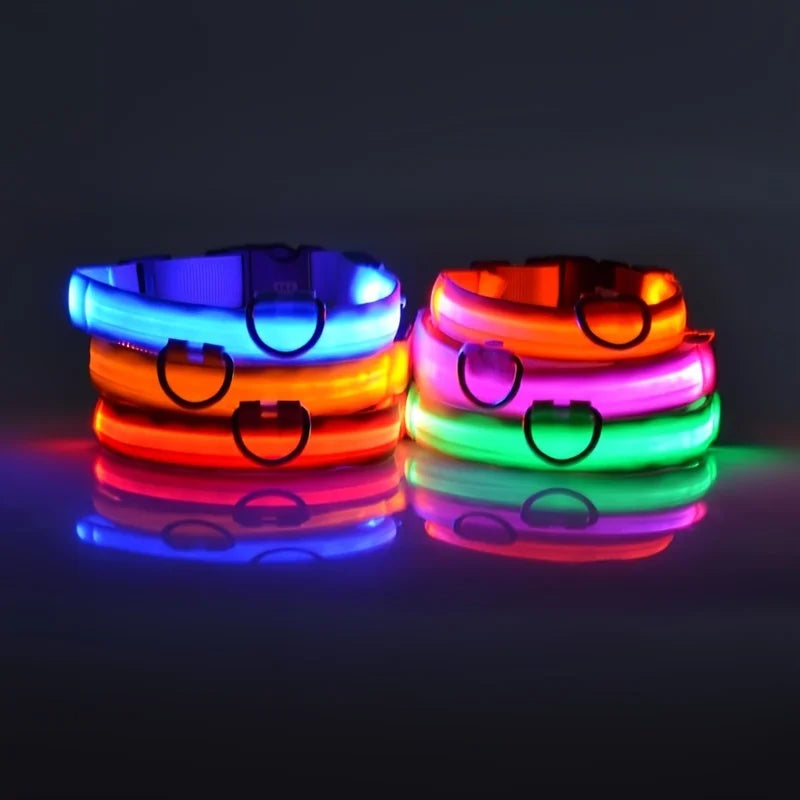 LED Dog Safety Collar – Rechargeable Glowing Pet Collar