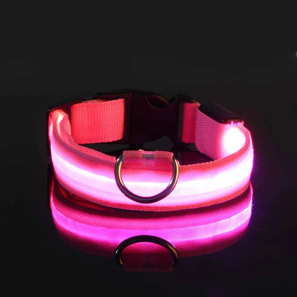 LED Dog Safety Collar – Rechargeable Glowing Pet Collar